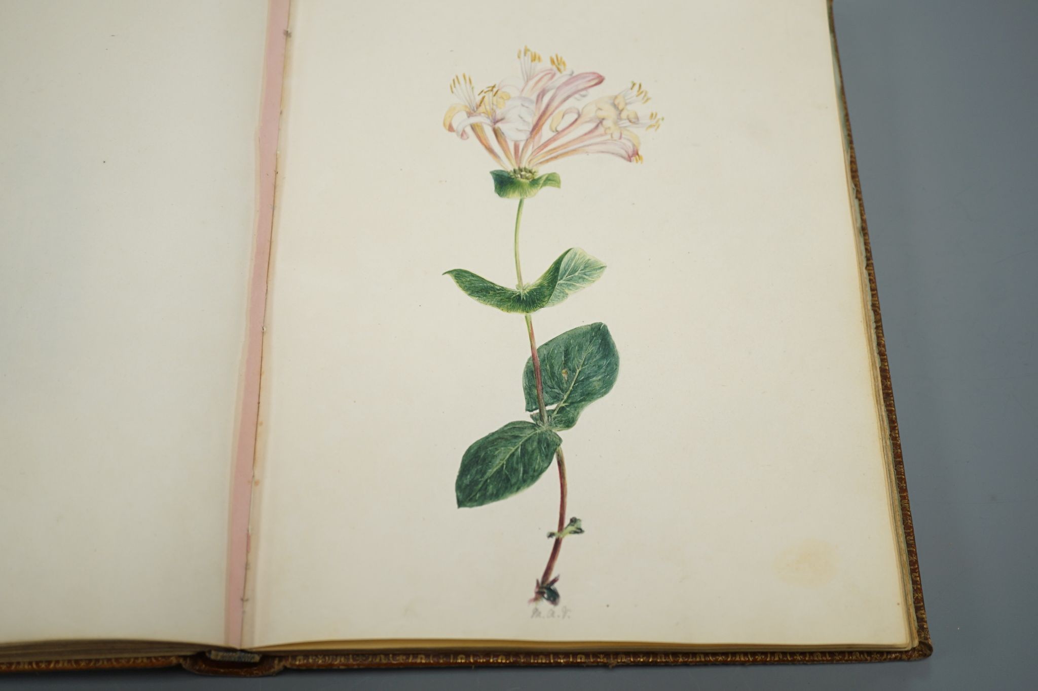 Mary Ann Vogan - an early 19th century album of 60 watercolours, pencil and ink drawings and engravings, including portraits, botanical specimens, land and seascapes, including 3 by R.C. Vogan, the front fly leaf inscrib